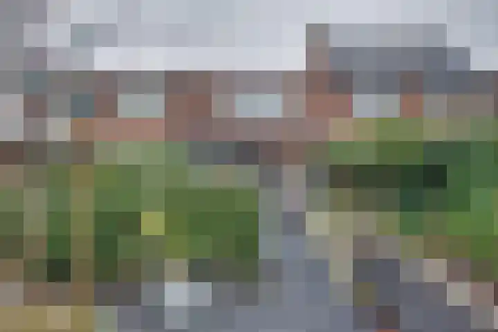 Binnenweg 30 Melissant thumbnail 41