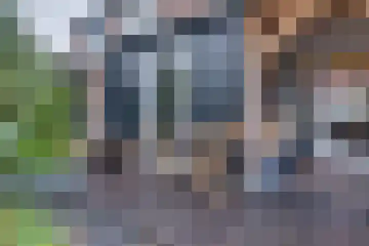 Binnenweg 30 Melissant thumbnail 43