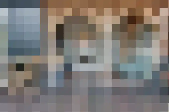 Binnenweg 30 Melissant thumbnail 44