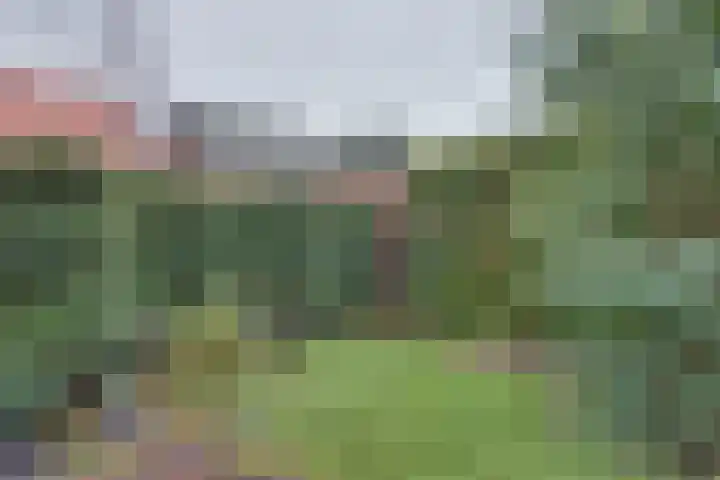 Binnenweg 30 Melissant thumbnail 46