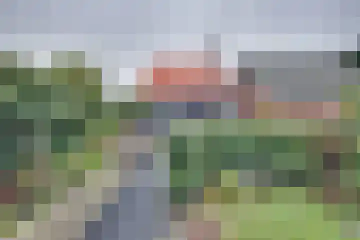 Binnenweg 30 Melissant thumbnail 48
