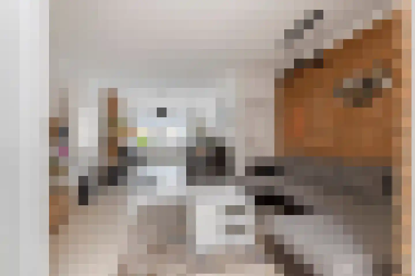 Binnenweg 30 Tiel thumbnail 13