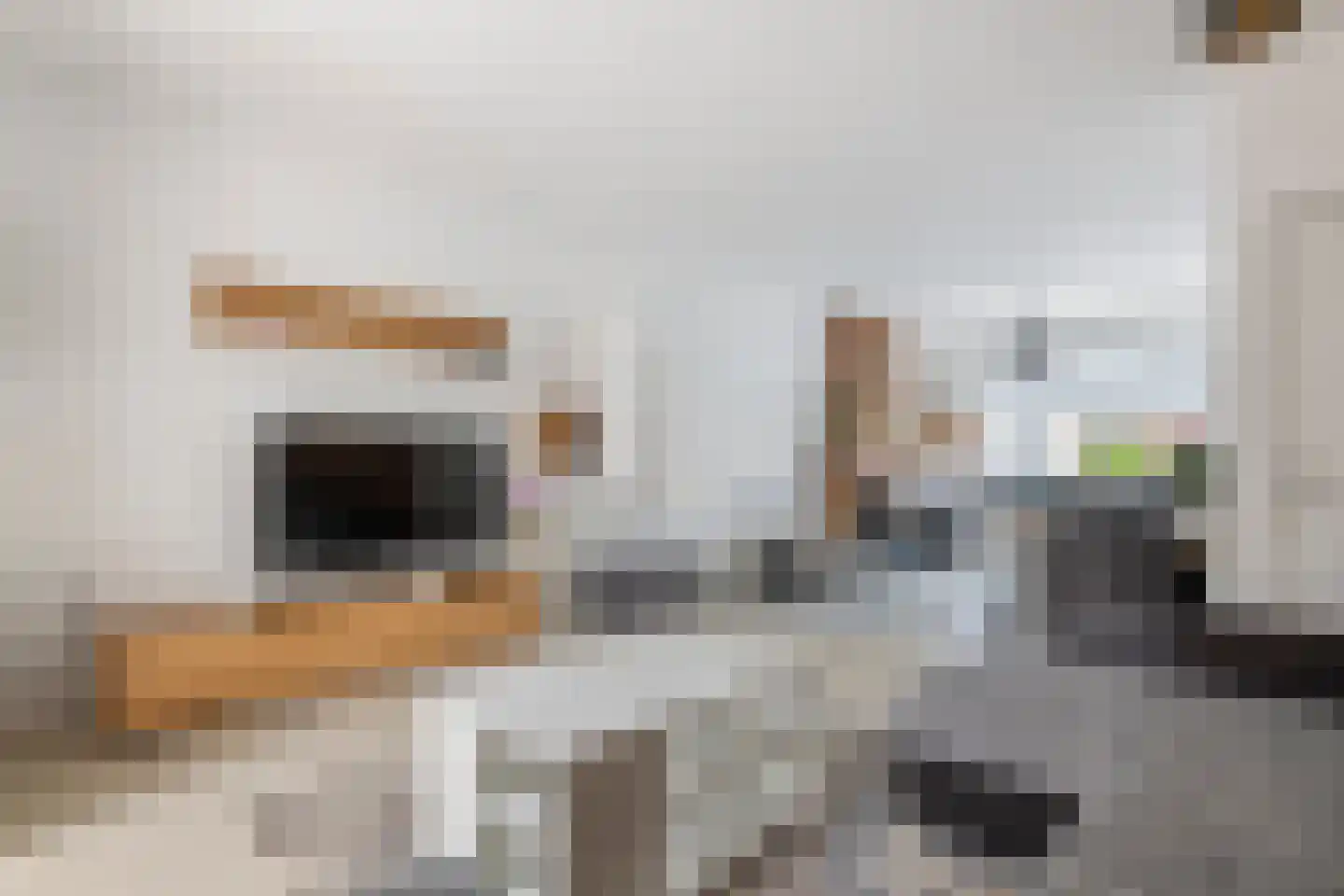 Binnenweg 30 Tiel thumbnail 14