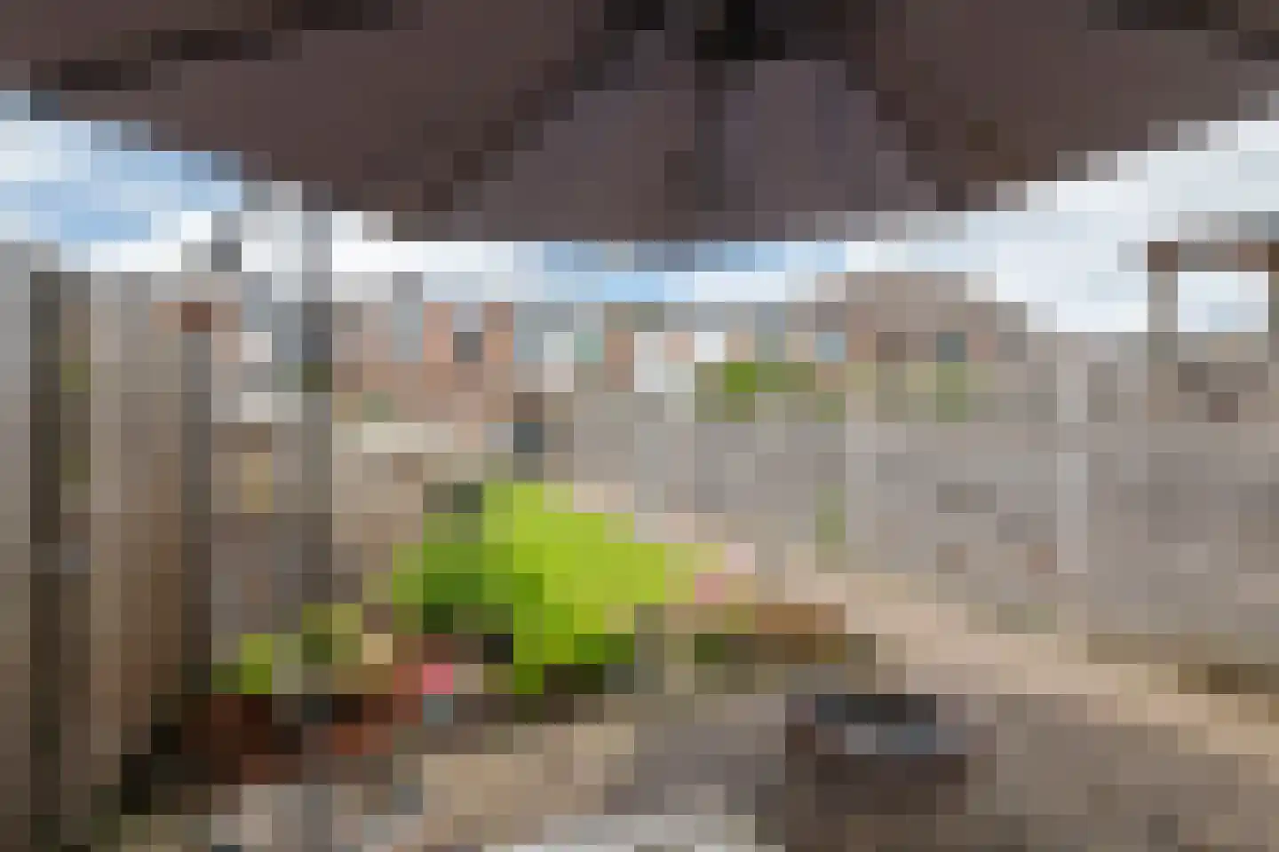 Binnenweg 30 Tiel thumbnail 30