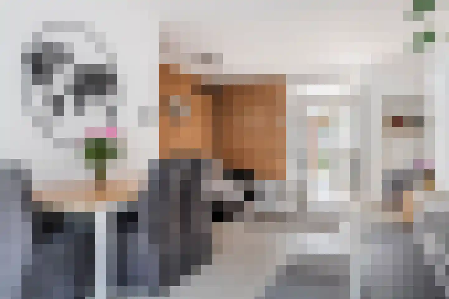 Binnenweg 30 Tiel thumbnail 6