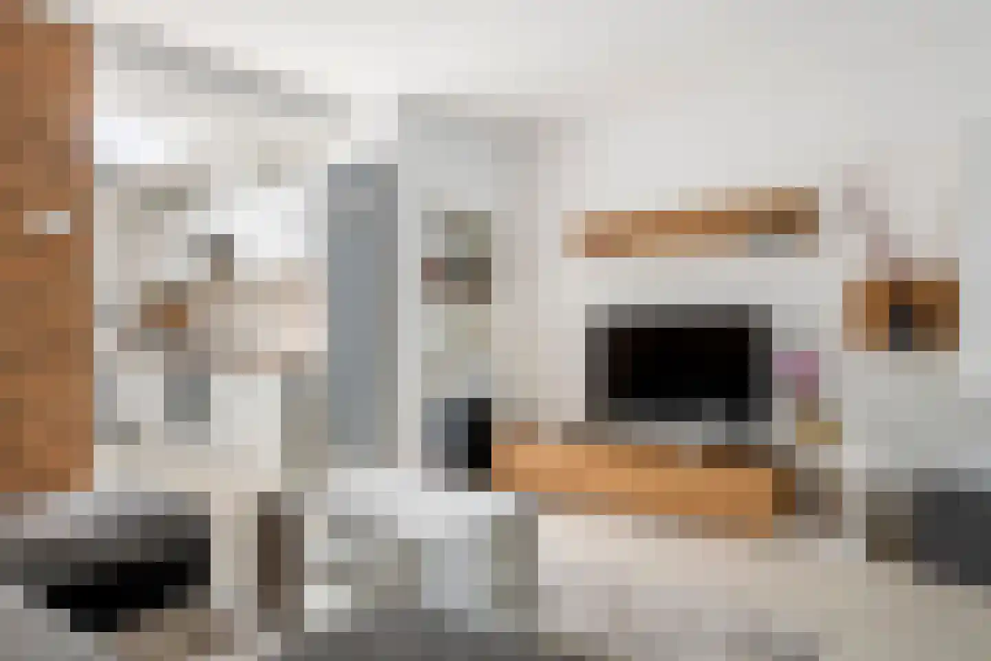 Binnenweg 30 Tiel thumbnail 8