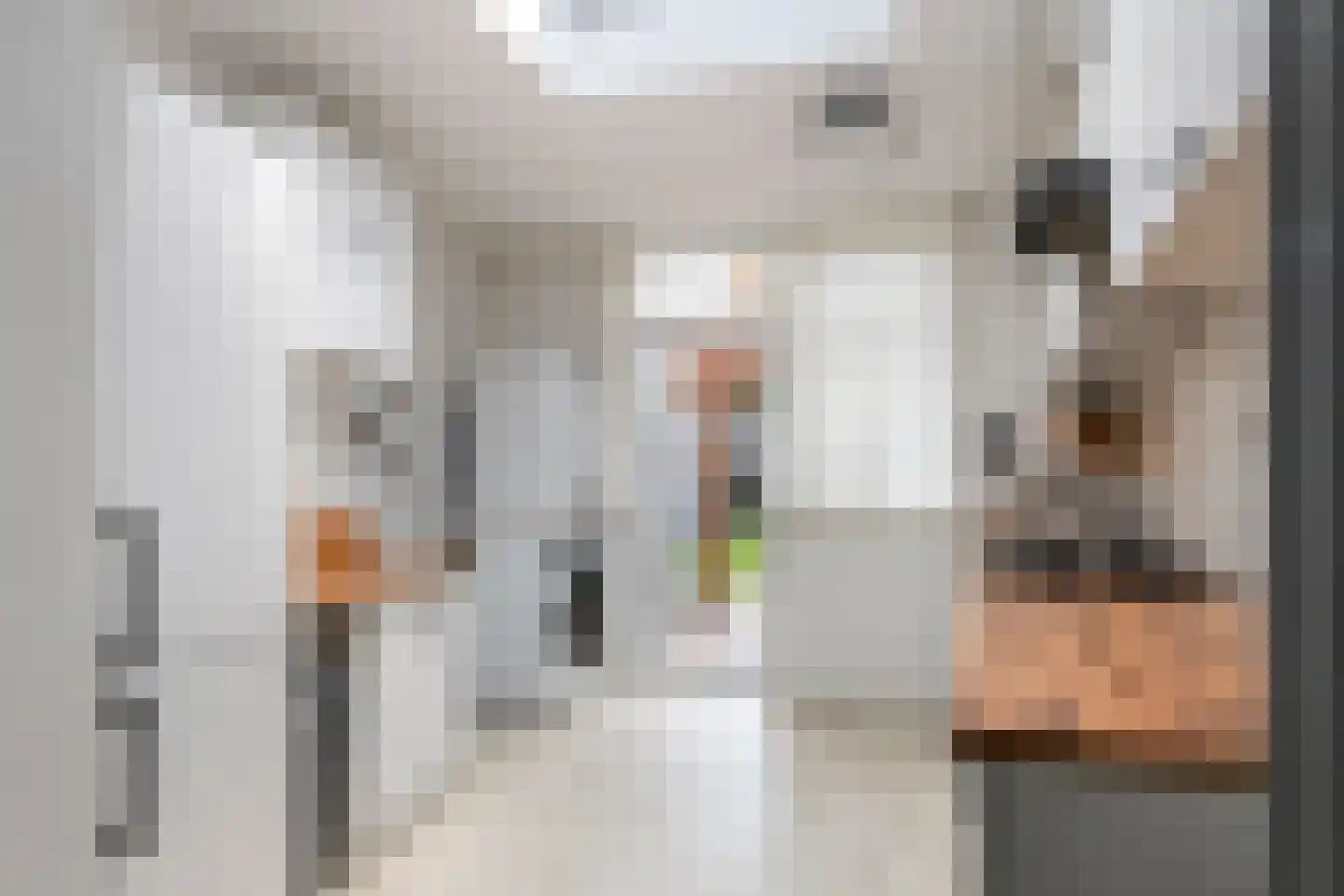 Binnenweg 30 Tiel thumbnail 9