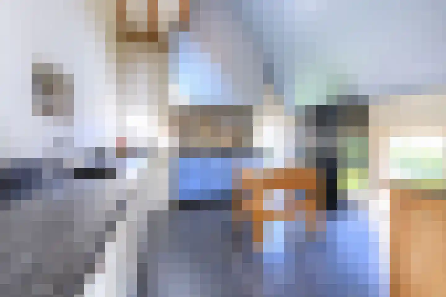 Binnenweg 32 Ellecom thumbnail 11