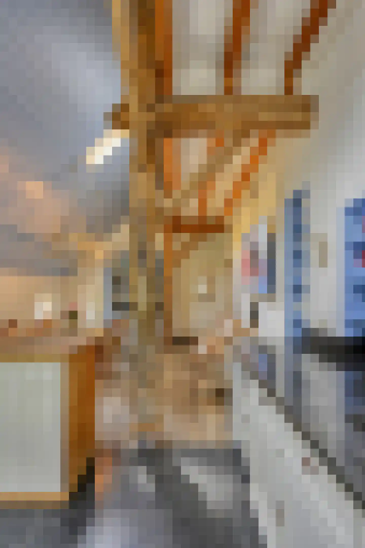 Binnenweg 32 Ellecom thumbnail 12