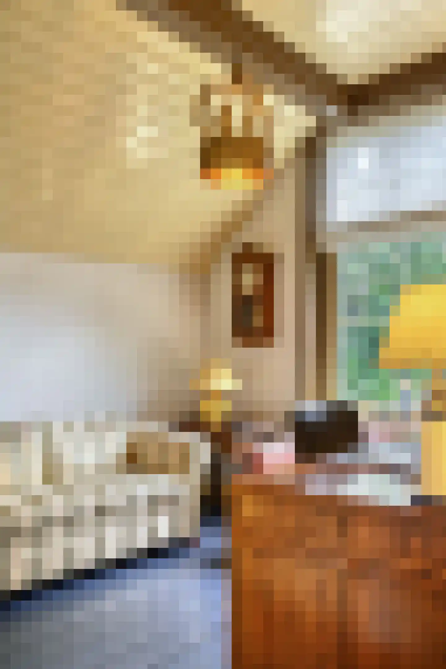 Binnenweg 32 Ellecom thumbnail 15