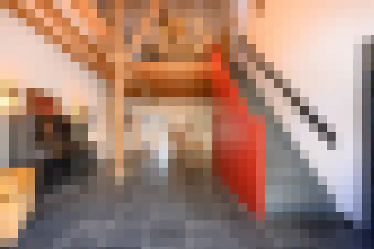 Binnenweg 32 Ellecom thumbnail 19
