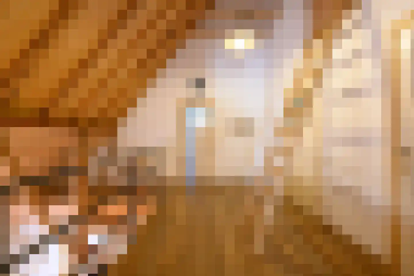 Binnenweg 32 Ellecom thumbnail 20