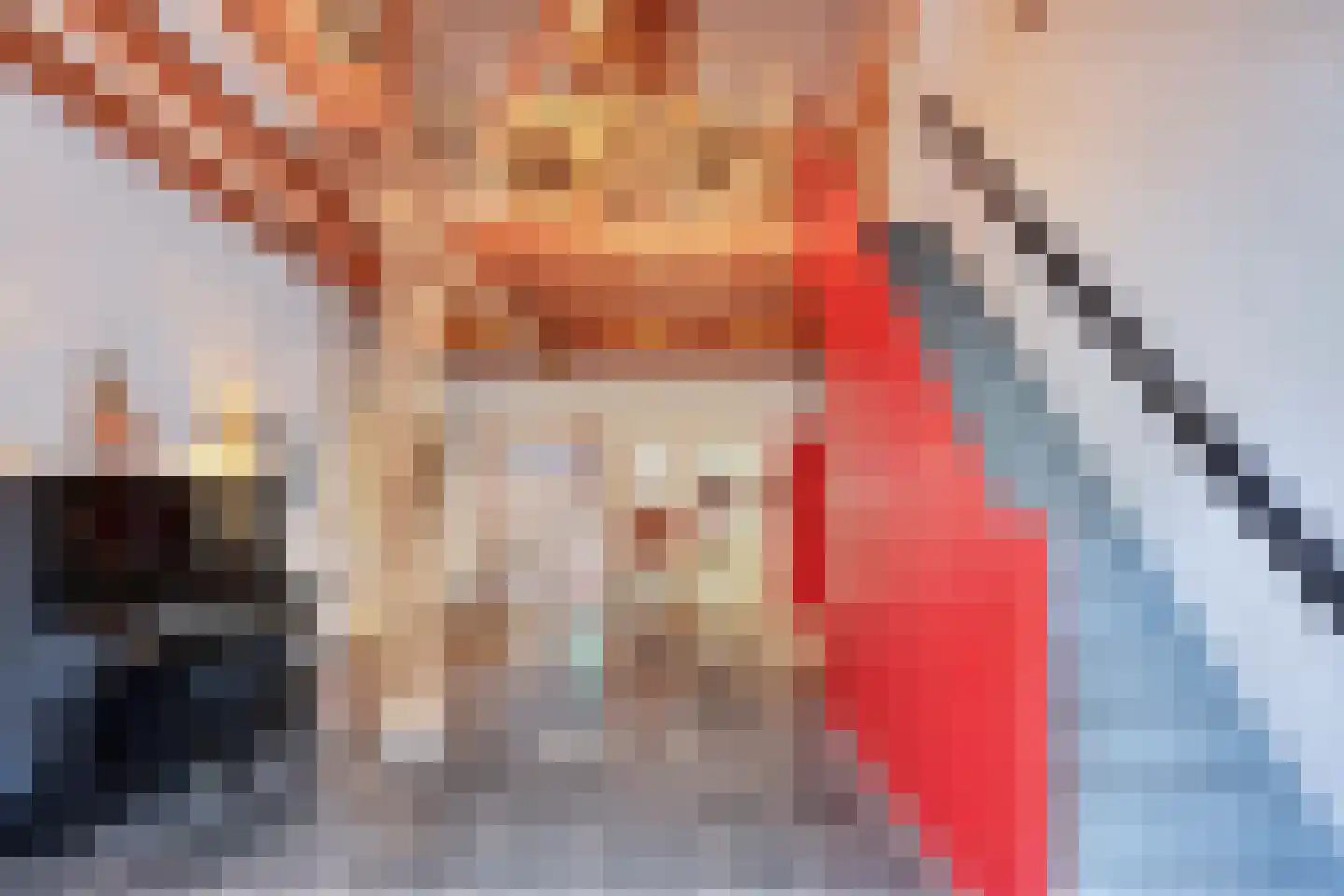 Binnenweg 32 Ellecom thumbnail 21