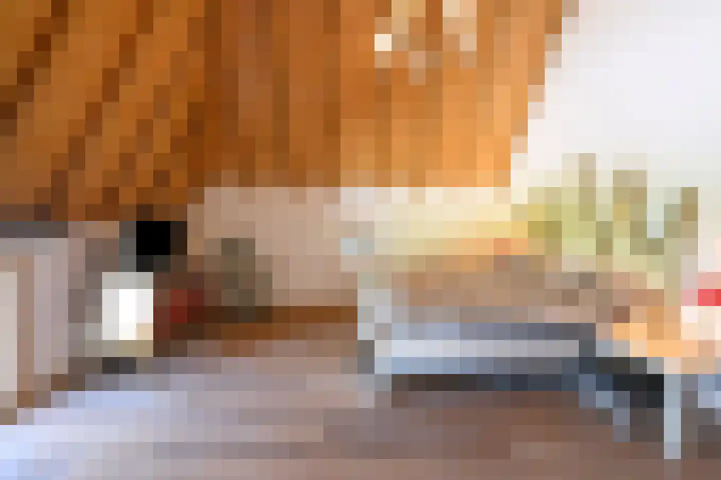 Binnenweg 32 Ellecom thumbnail 21