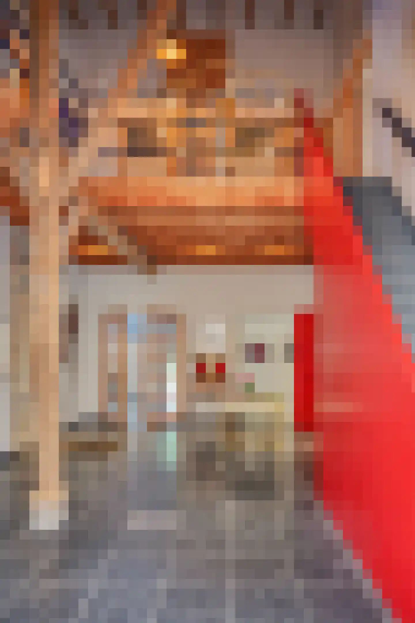 Binnenweg 32 Ellecom thumbnail 22