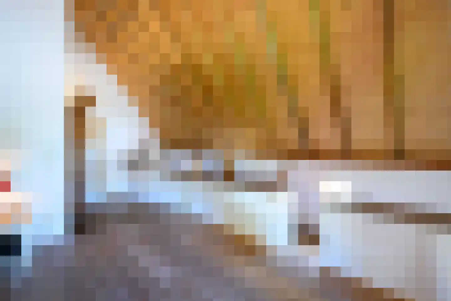 Binnenweg 32 Ellecom thumbnail 22