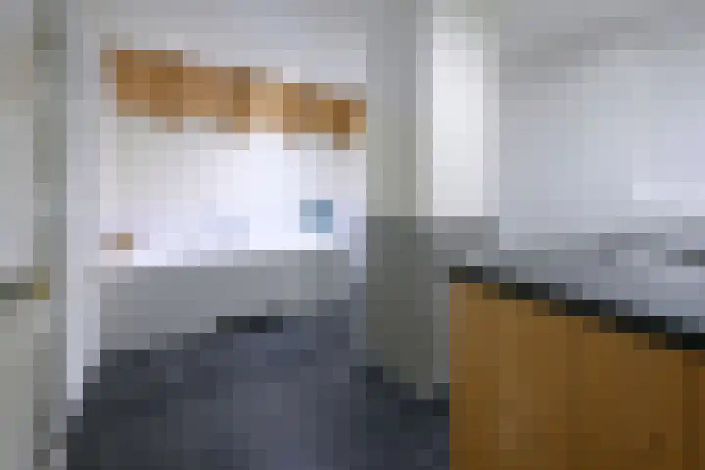 Binnenweg 32 Ellecom thumbnail 23