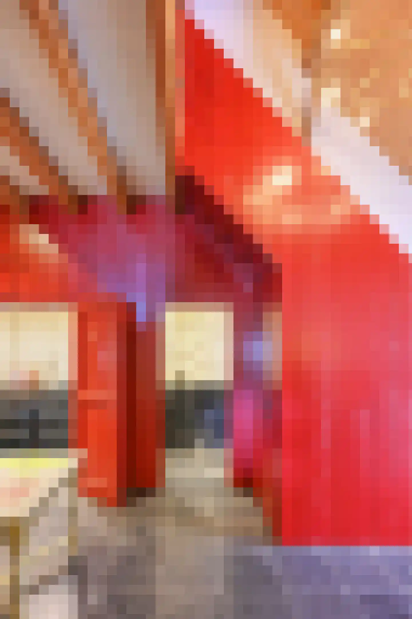 Binnenweg 32 Ellecom thumbnail 24