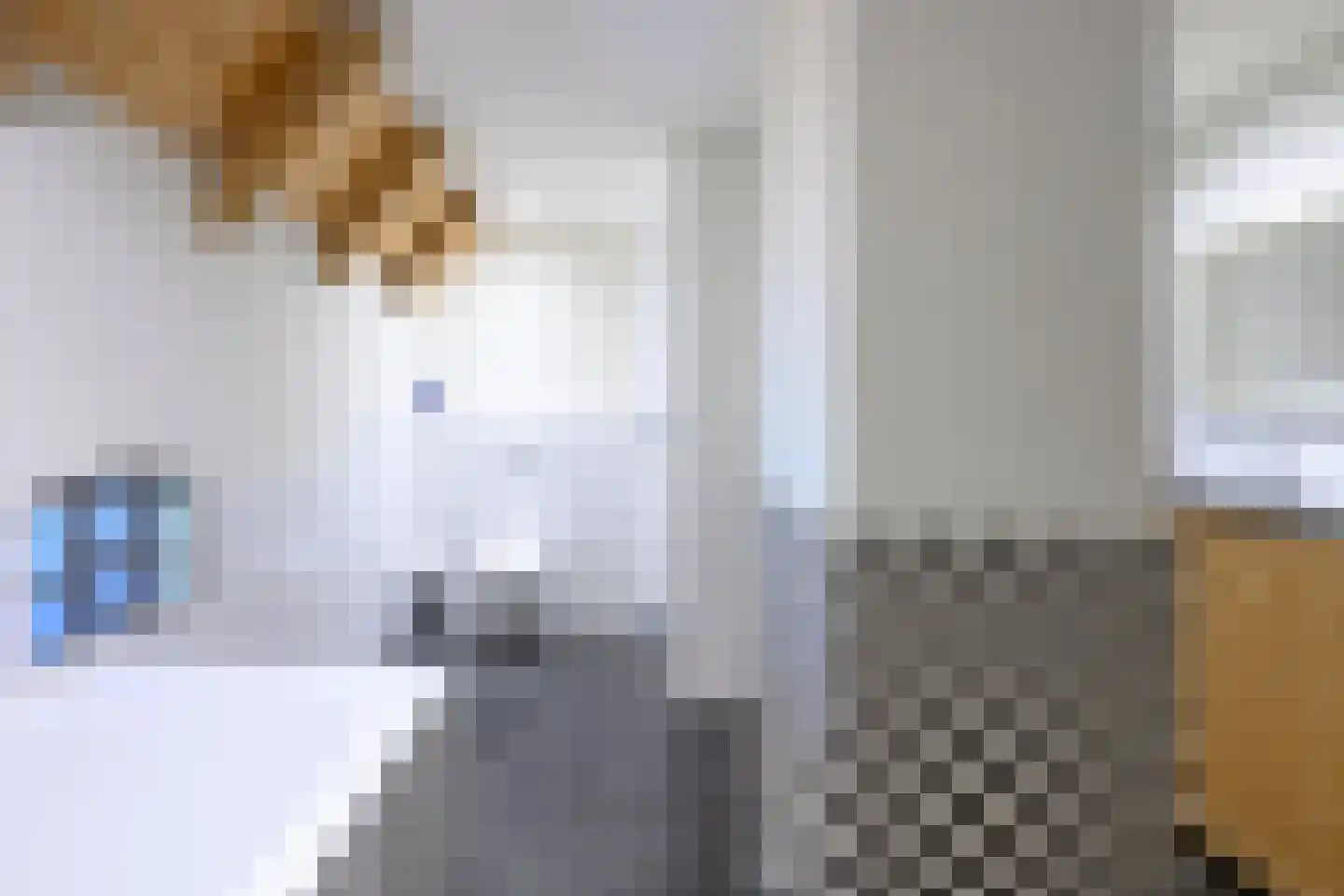 Binnenweg 32 Ellecom thumbnail 24