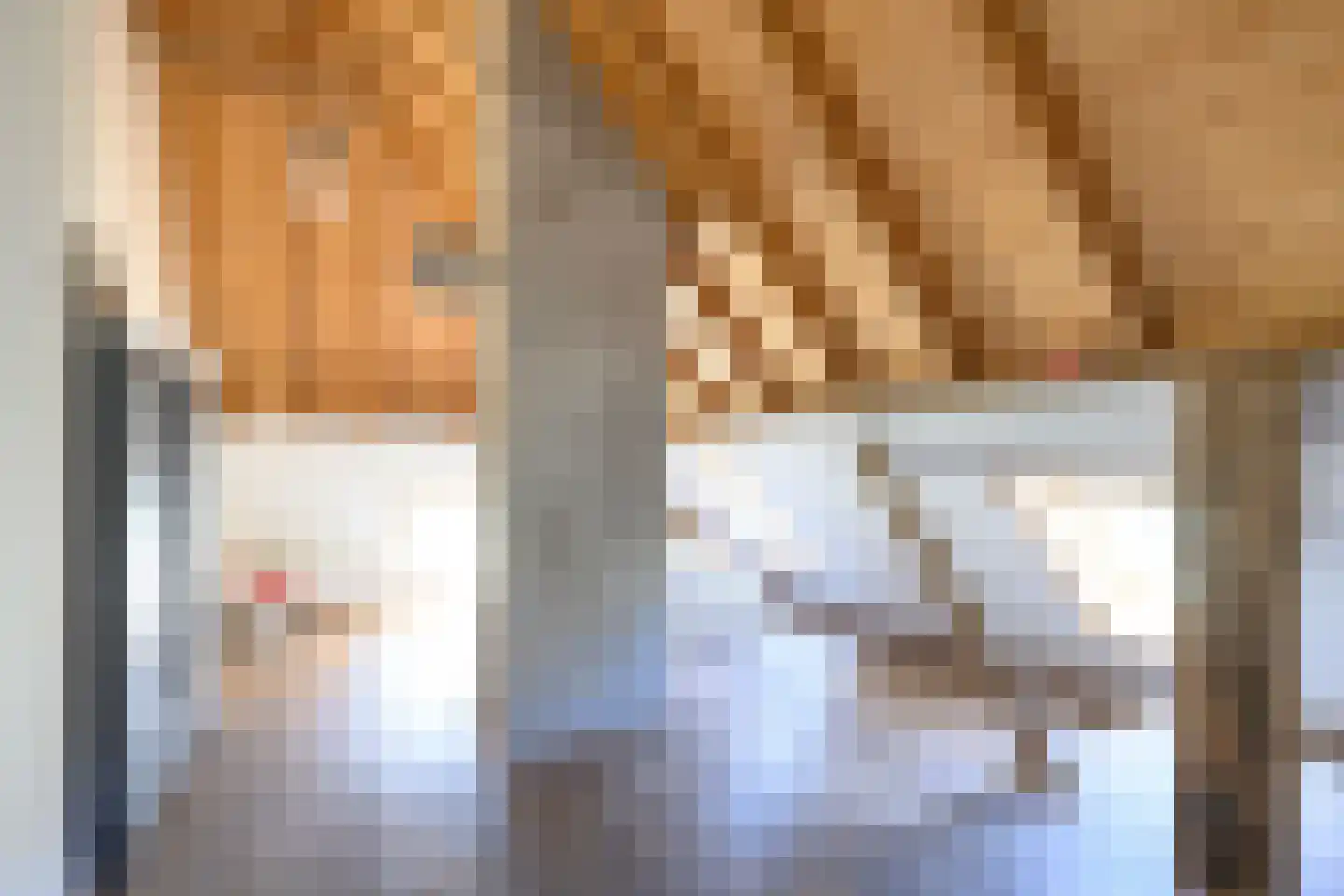 Binnenweg 32 Ellecom thumbnail 27