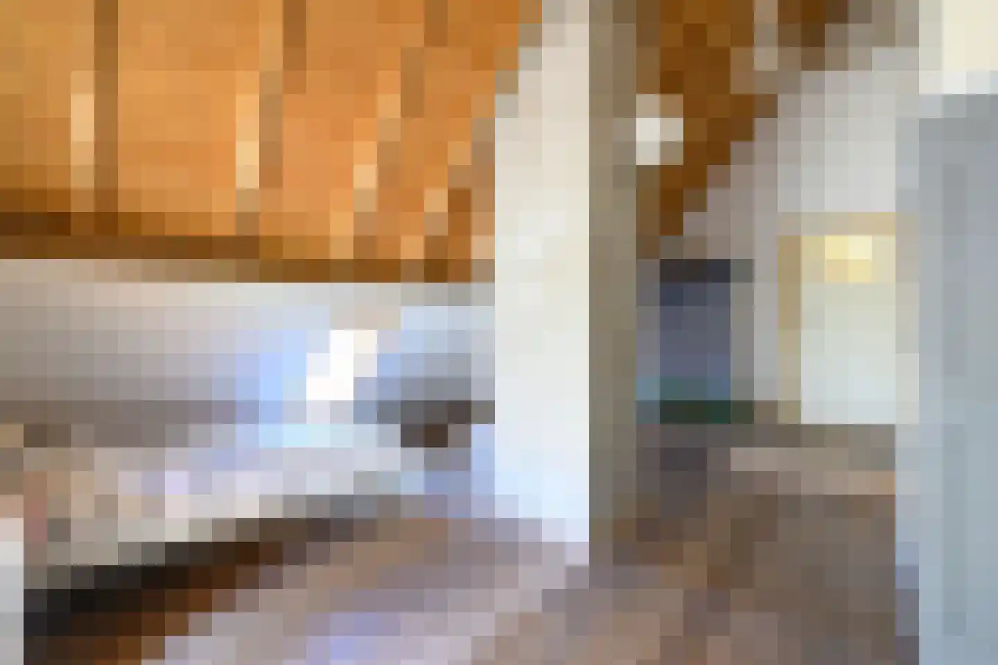 Binnenweg 32 Ellecom thumbnail 28