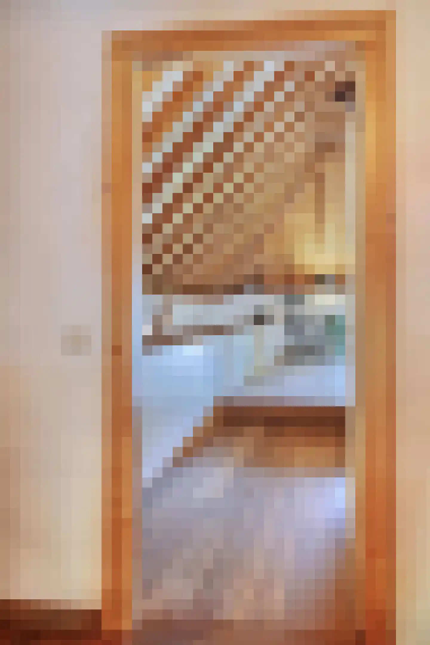 Binnenweg 32 Ellecom thumbnail 29
