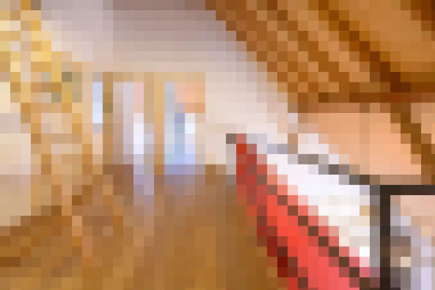 Binnenweg 32 Ellecom thumbnail 30