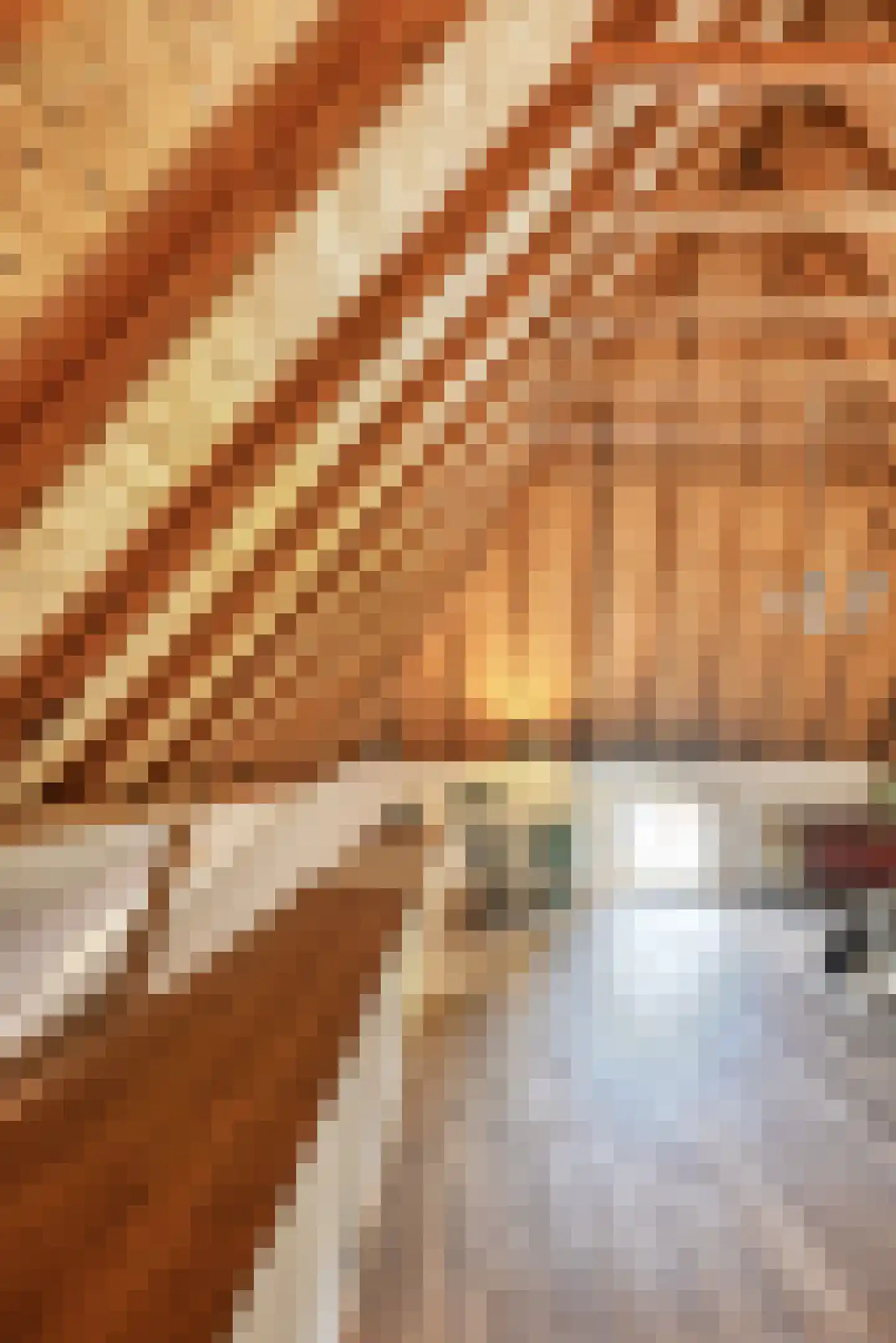Binnenweg 32 Ellecom thumbnail 30