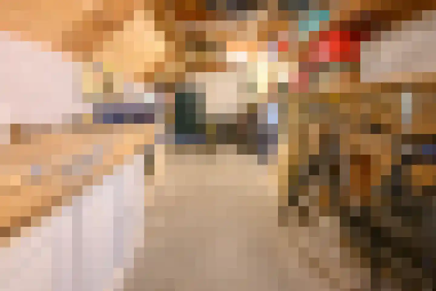 Binnenweg 32 Ellecom thumbnail 33