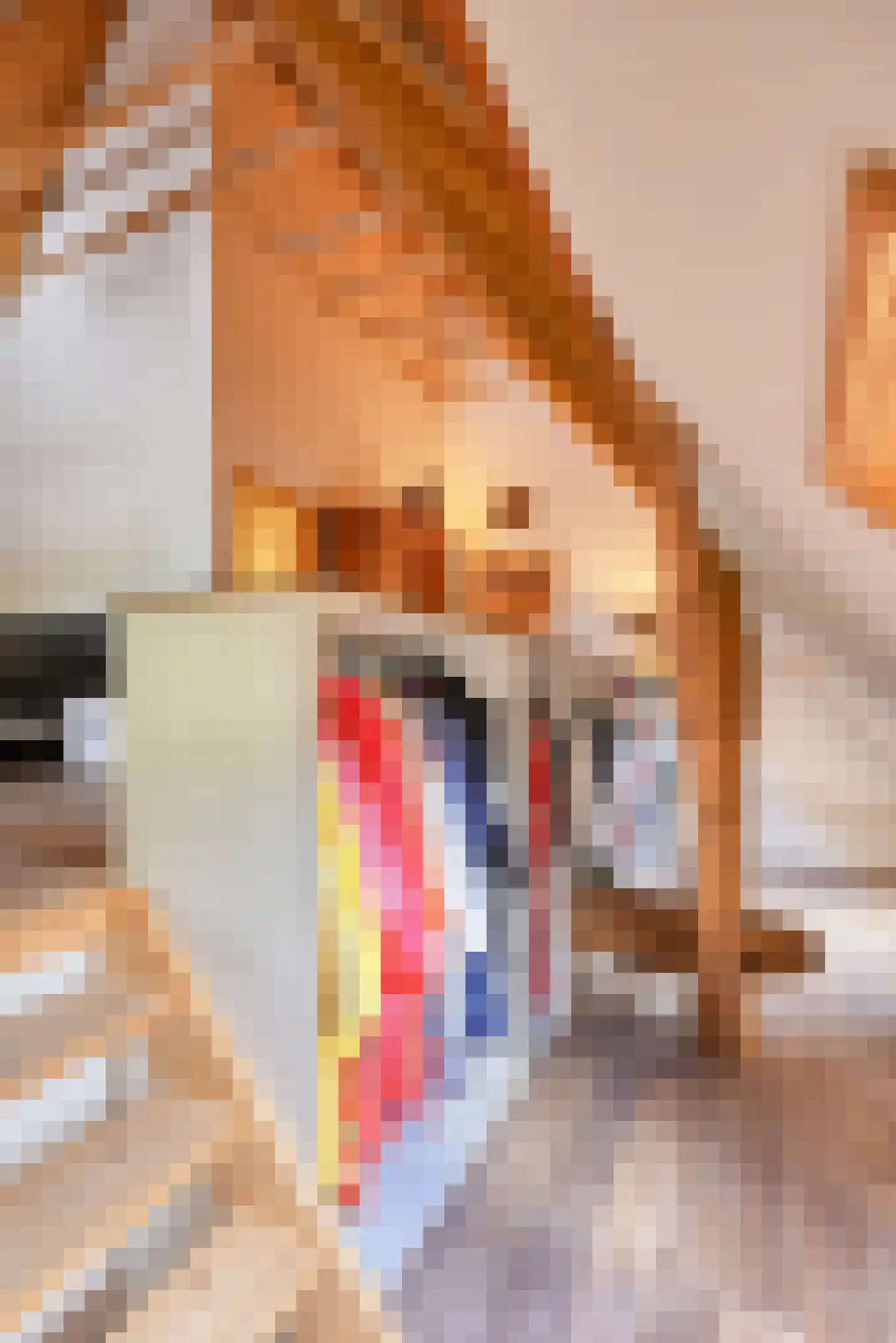 Binnenweg 32 Ellecom thumbnail 33