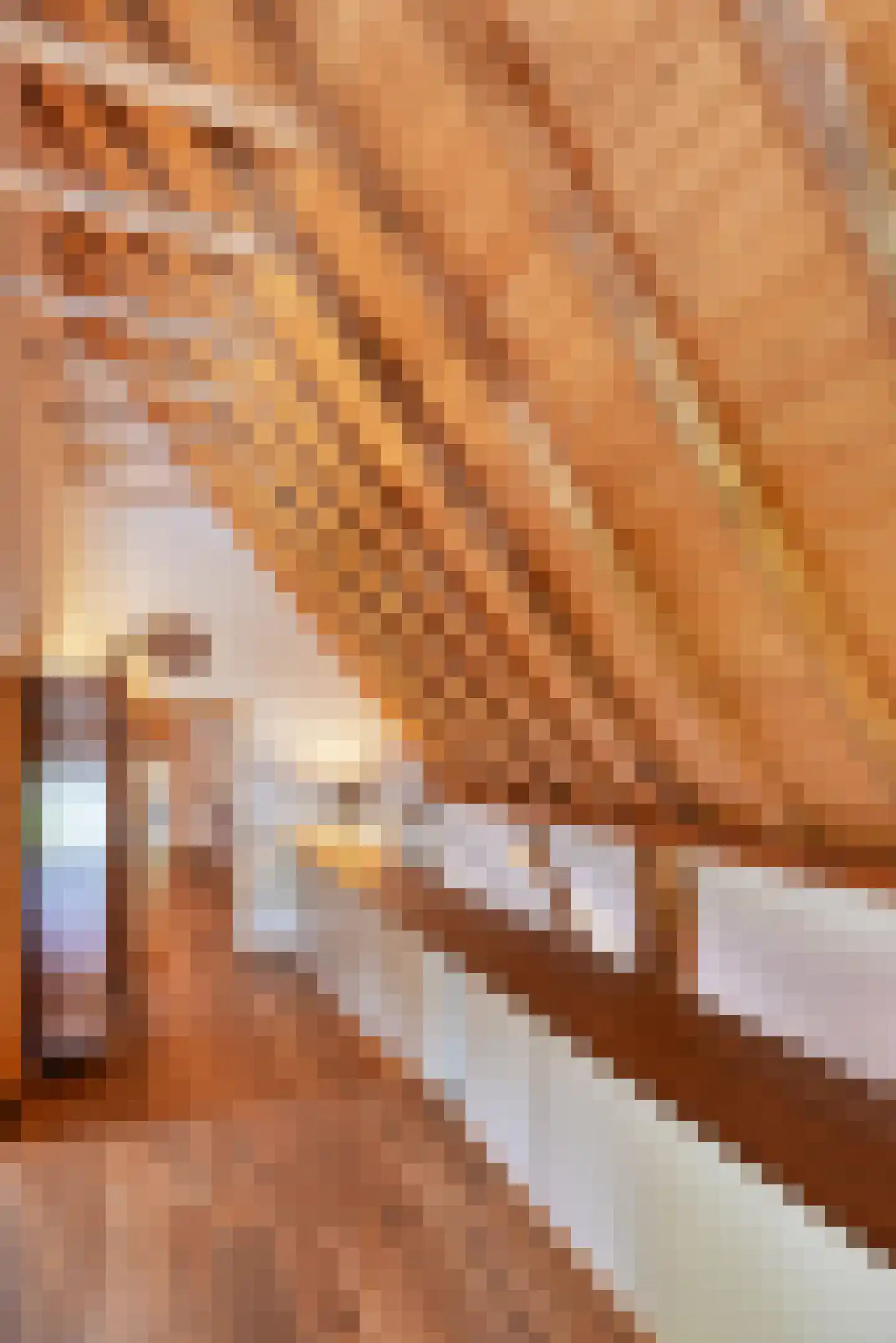 Binnenweg 32 Ellecom thumbnail 34
