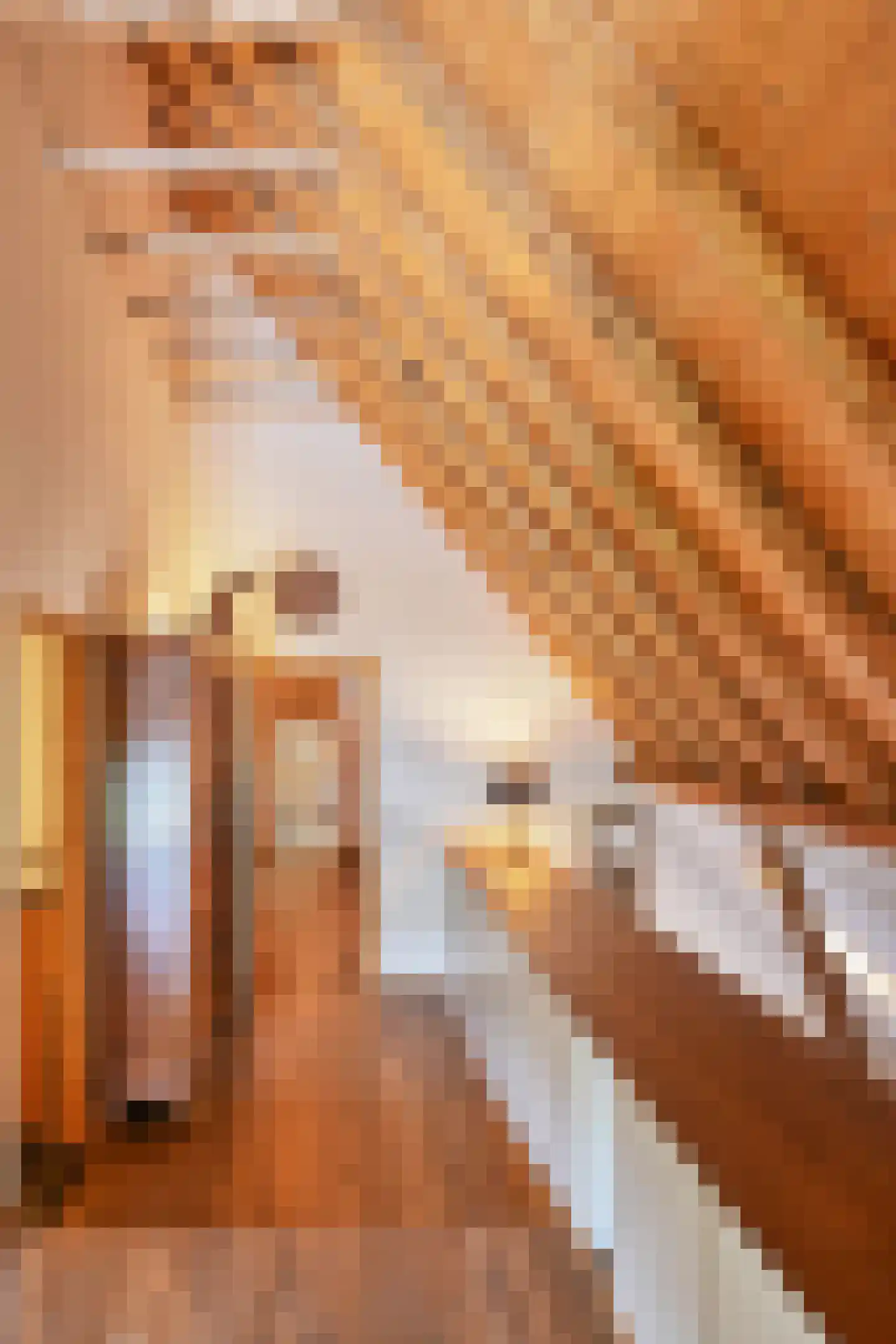 Binnenweg 32 Ellecom thumbnail 35