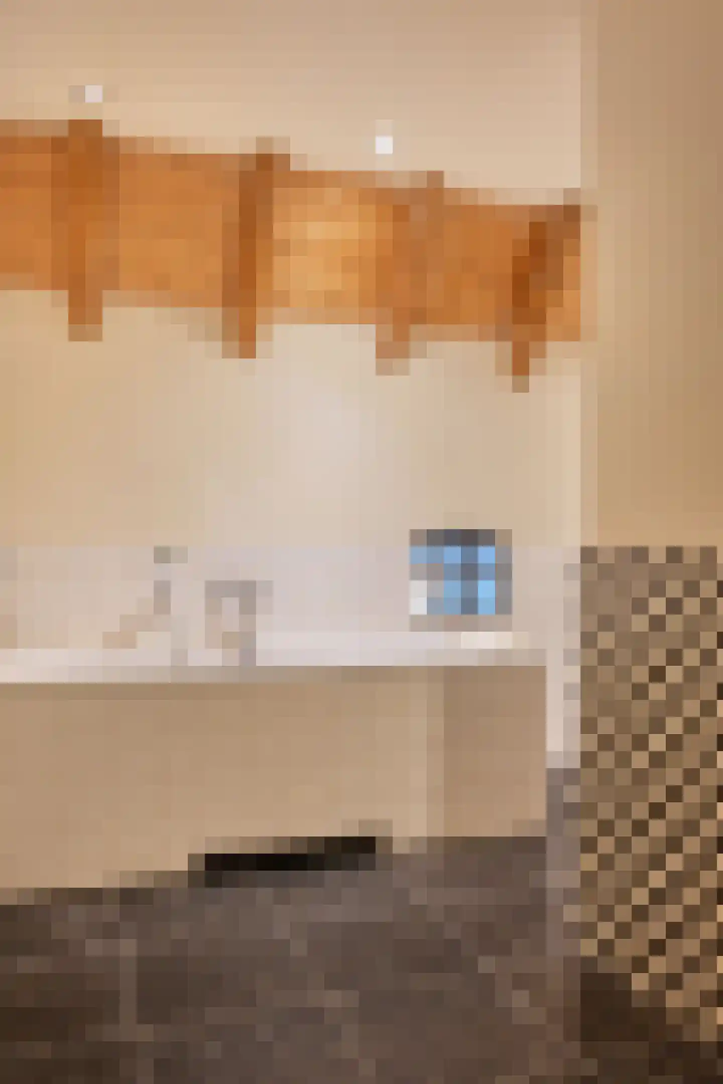 Binnenweg 32 Ellecom thumbnail 36
