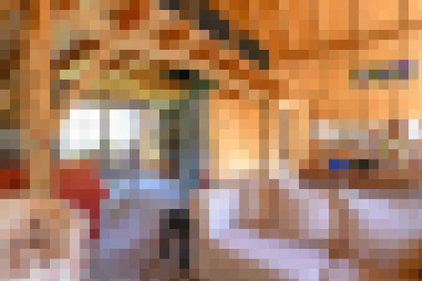 Binnenweg 32 Ellecom thumbnail 38