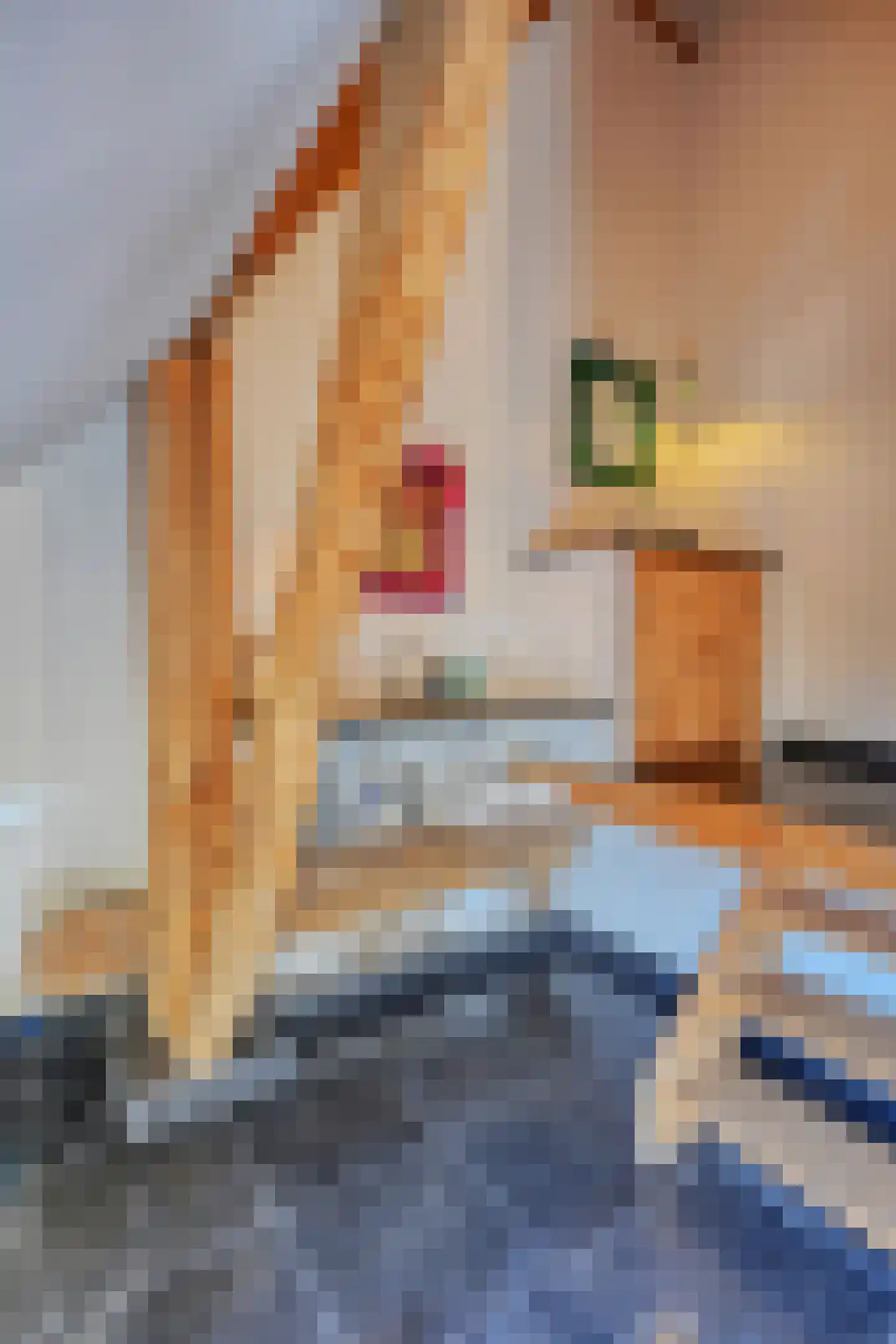 Binnenweg 32 Ellecom thumbnail 41