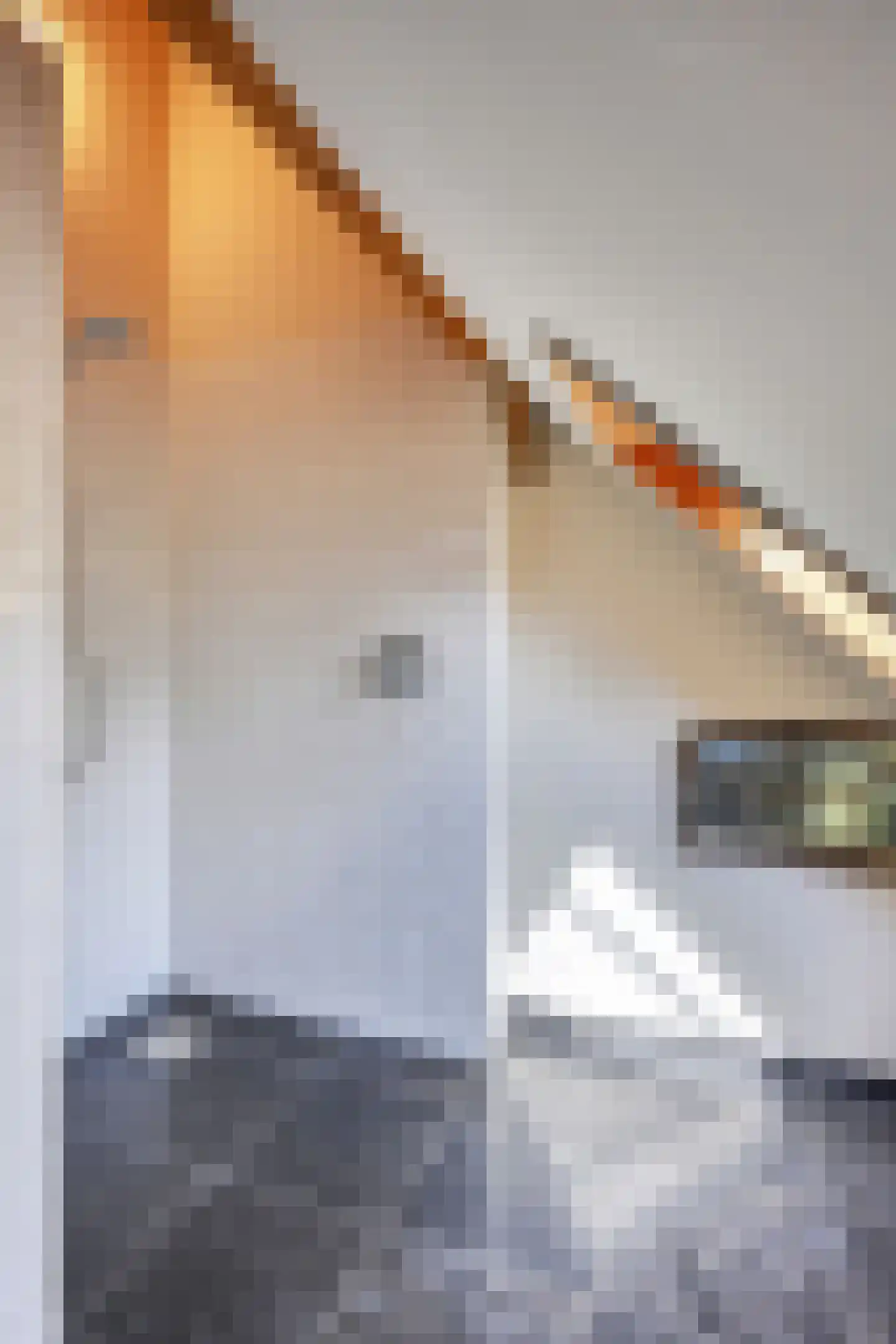 Binnenweg 32 Ellecom thumbnail 42