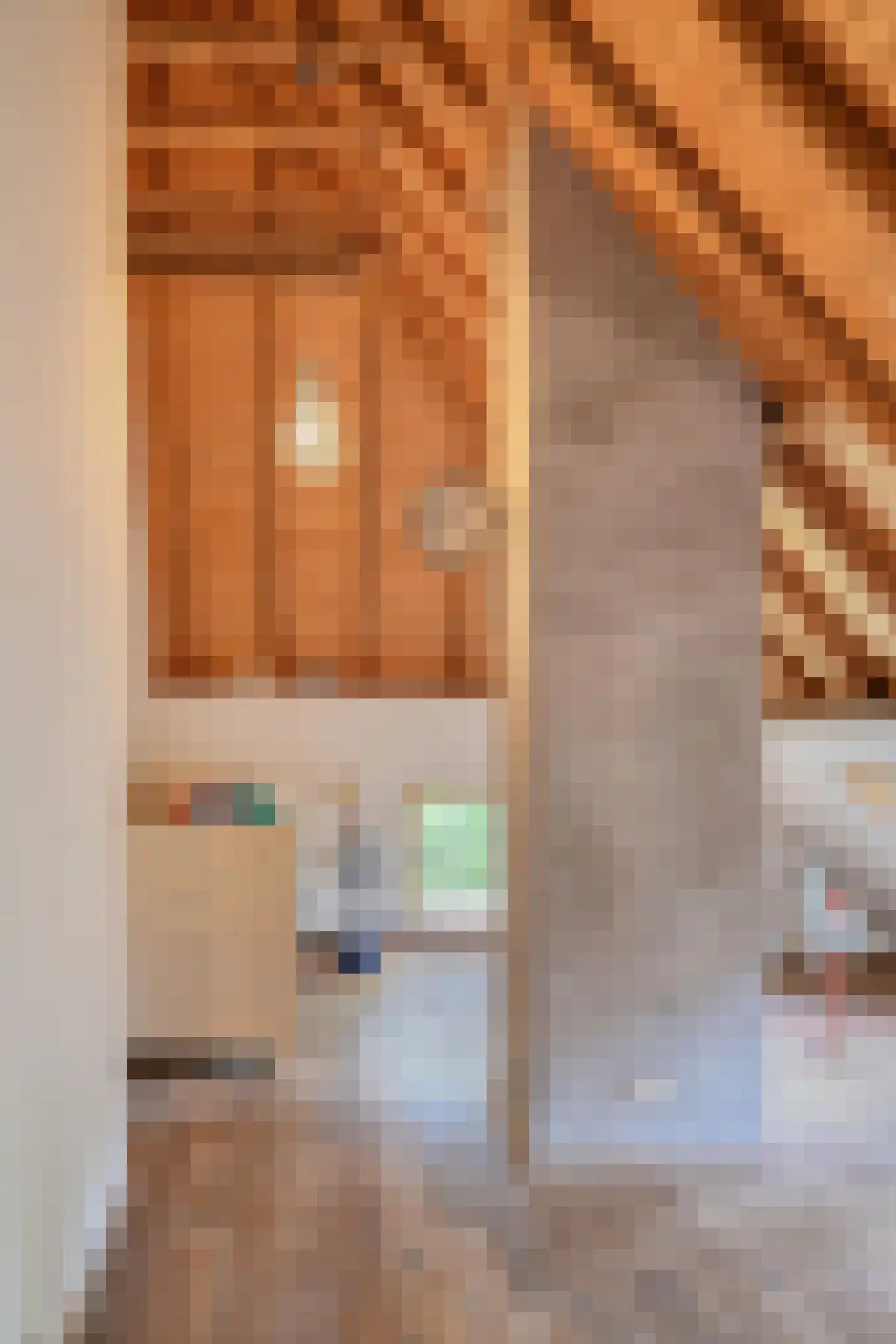 Binnenweg 32 Ellecom thumbnail 43