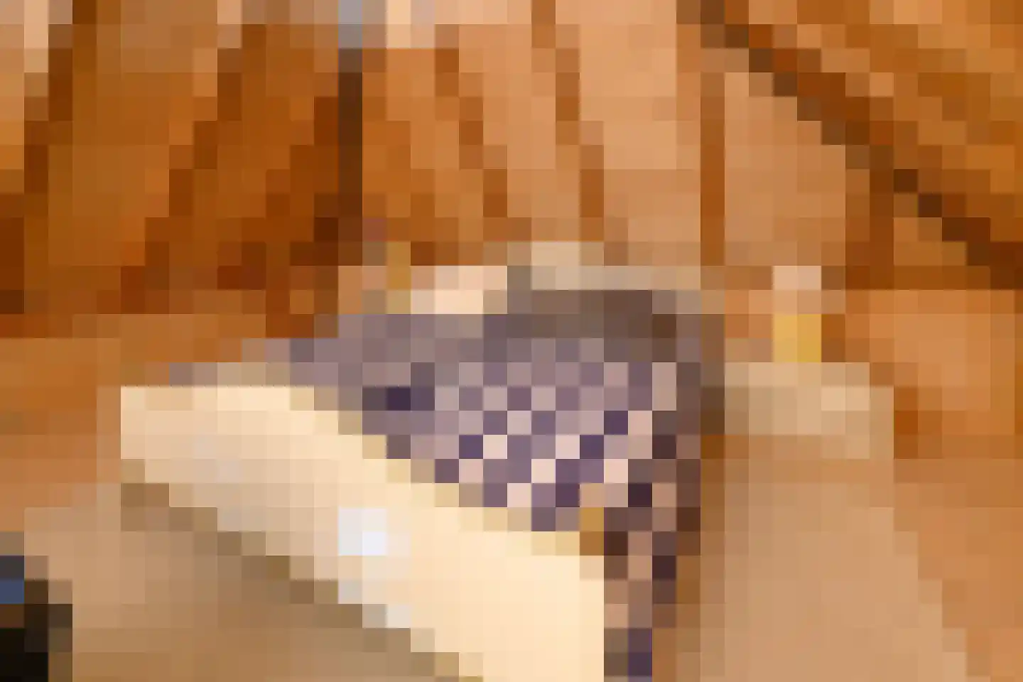 Binnenweg 32 Ellecom thumbnail 43