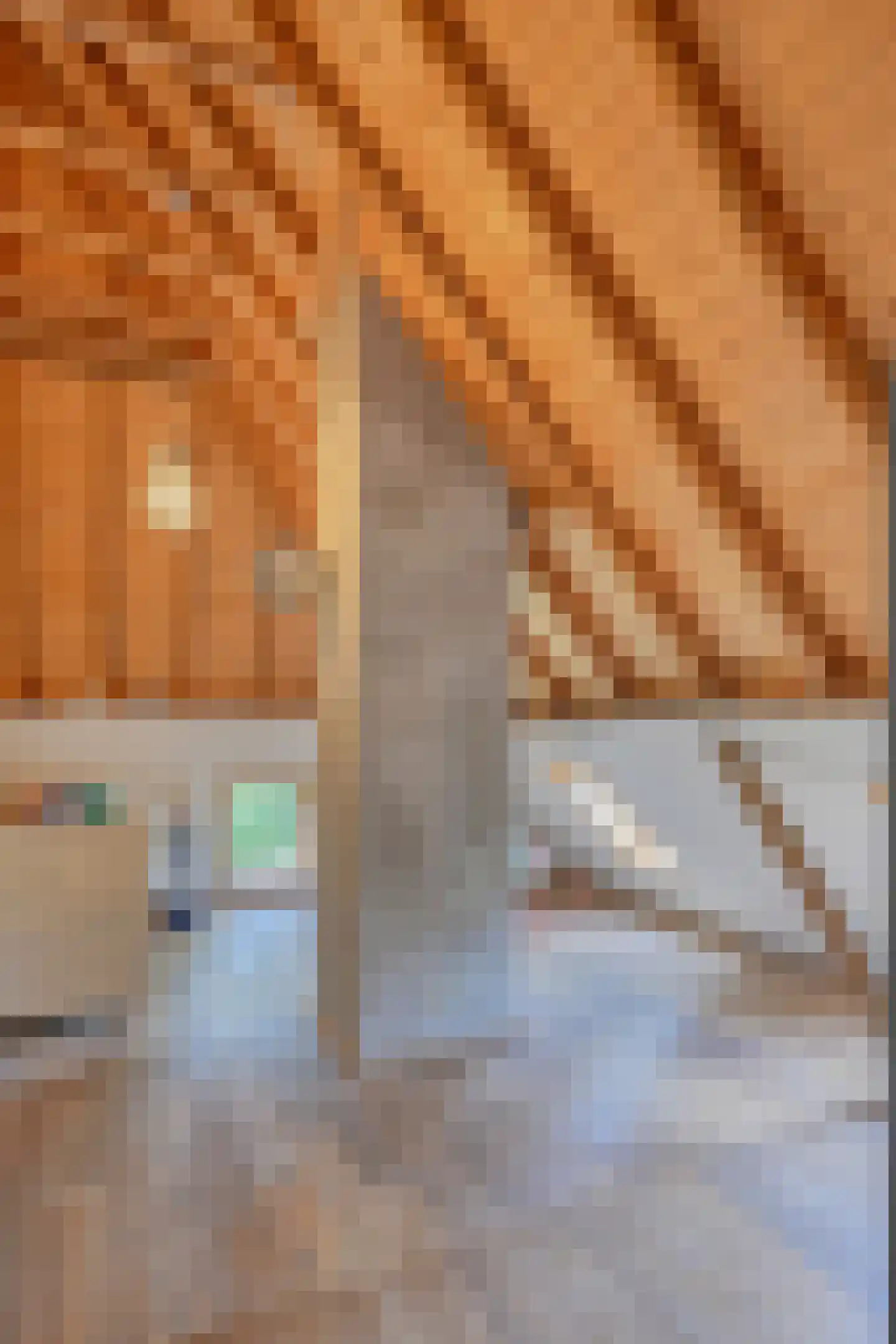 Binnenweg 32 Ellecom thumbnail 44