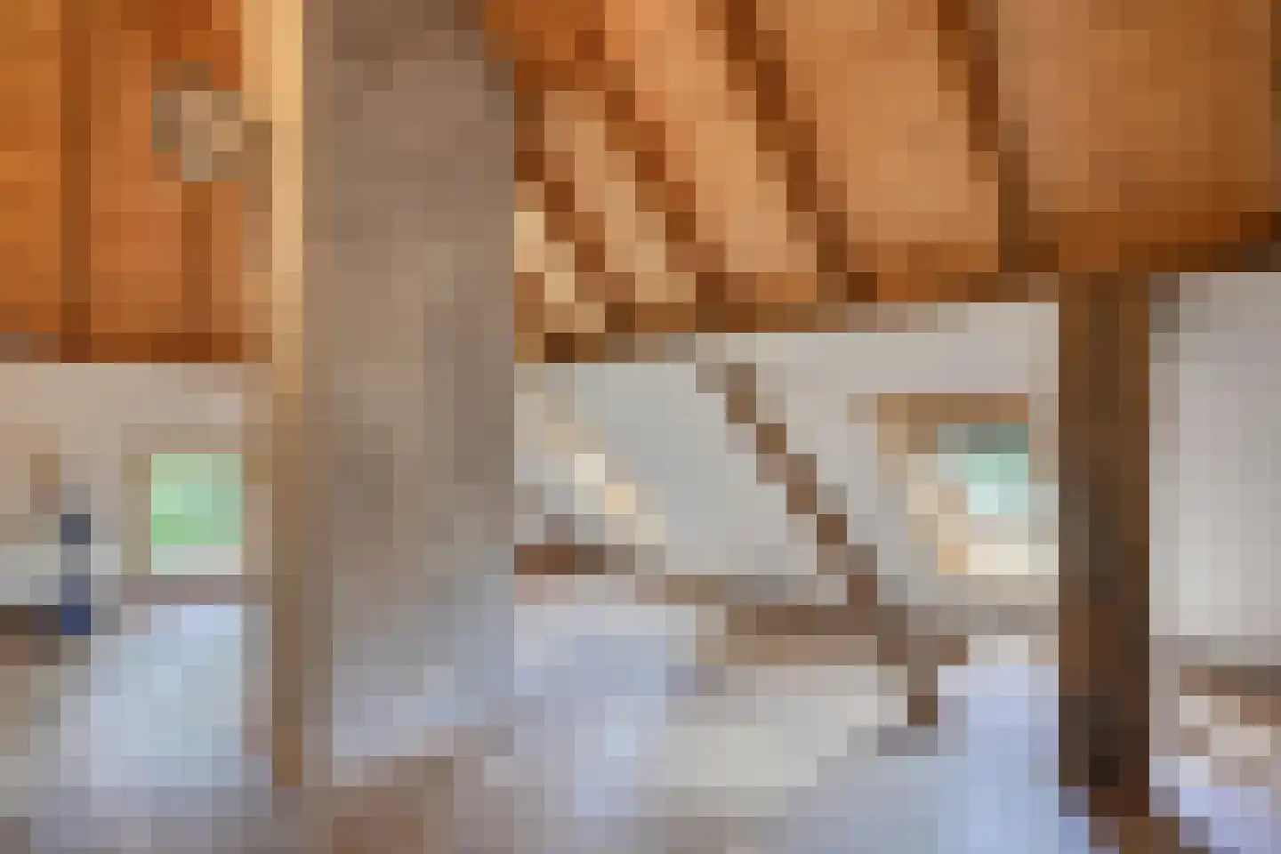 Binnenweg 32 Ellecom thumbnail 45