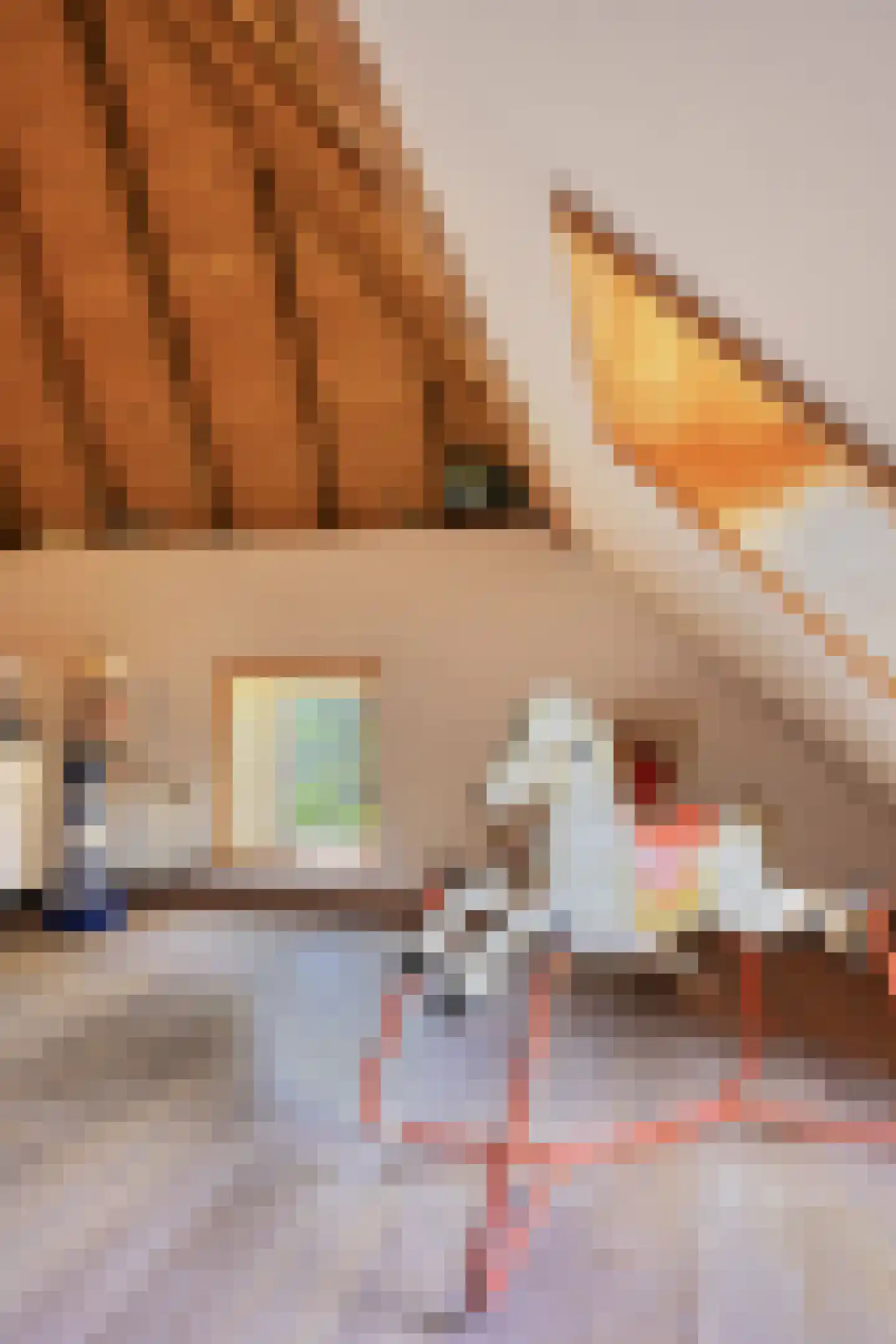 Binnenweg 32 Ellecom thumbnail 46