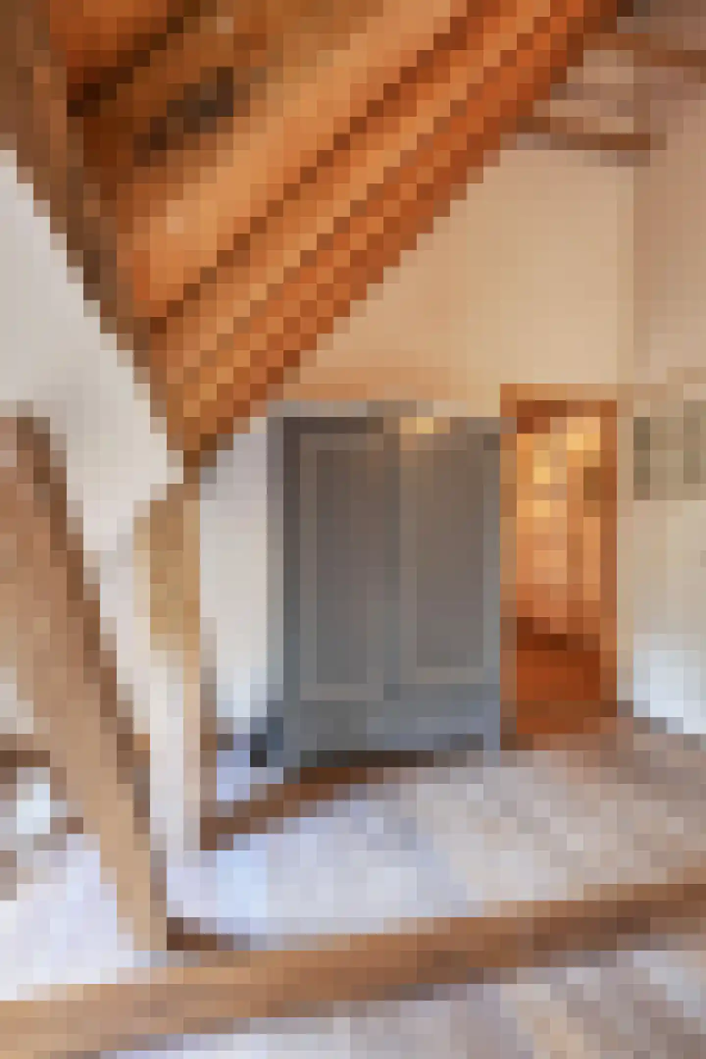 Binnenweg 32 Ellecom thumbnail 48