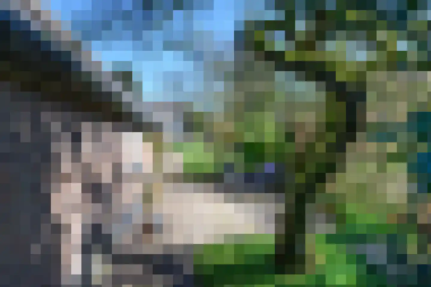 Binnenweg 32 Ellecom thumbnail 48