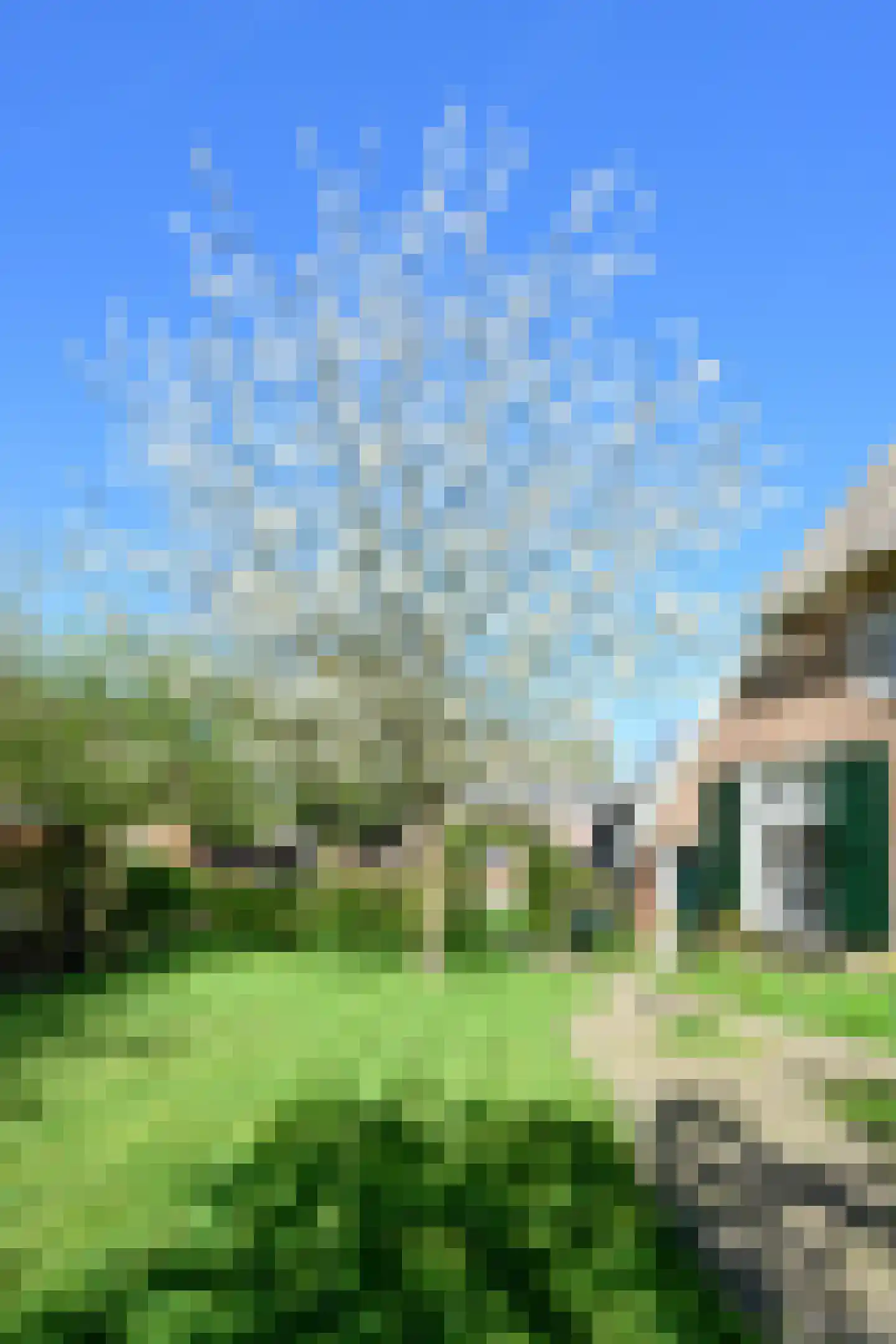 Binnenweg 32 Ellecom thumbnail 49