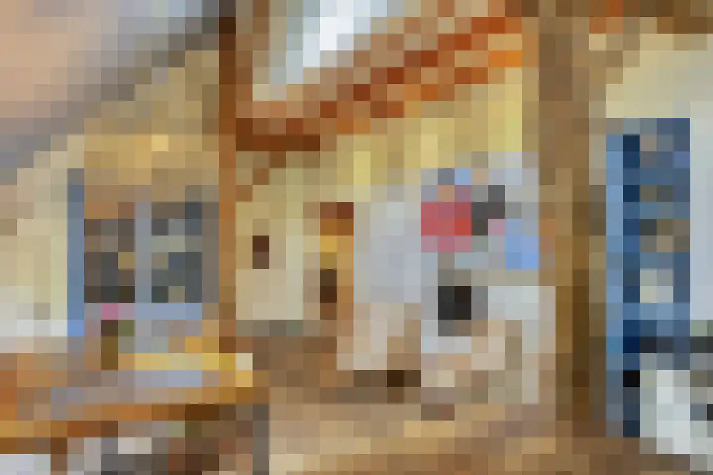 Binnenweg 32 Ellecom thumbnail 5