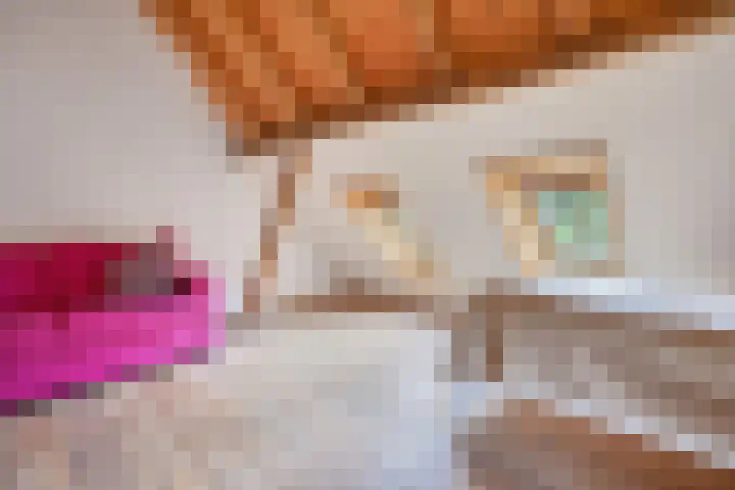 Binnenweg 32 Ellecom thumbnail 51