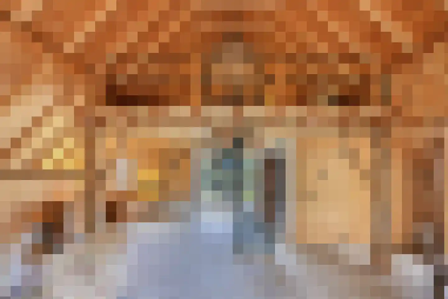 Binnenweg 32 Ellecom thumbnail 52