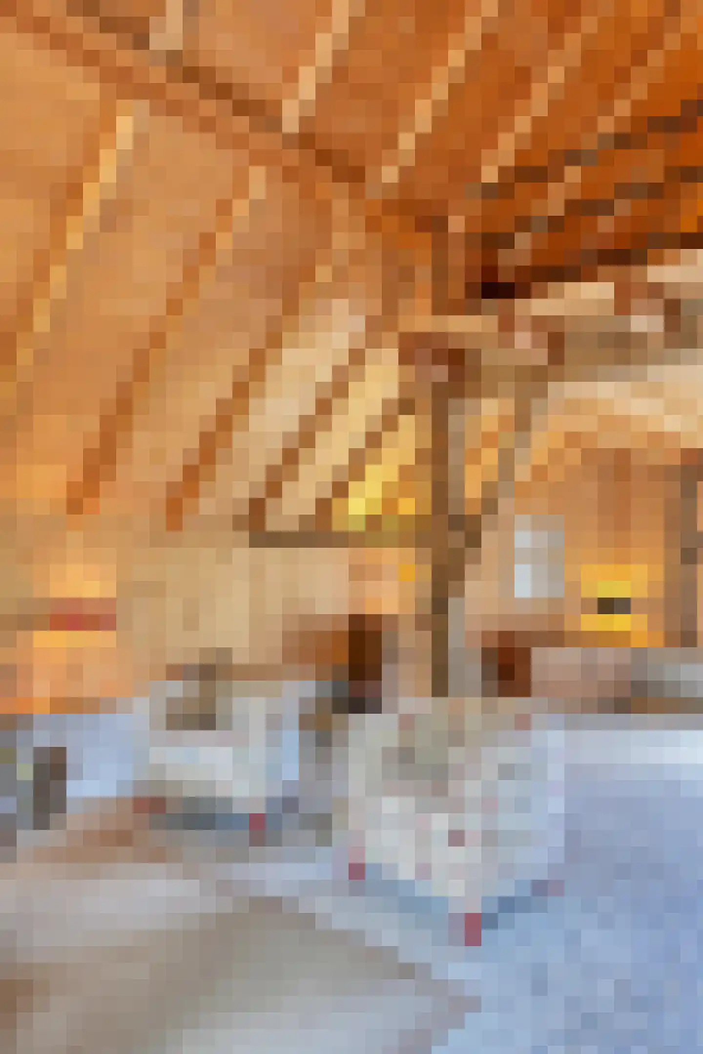 Binnenweg 32 Ellecom thumbnail 53