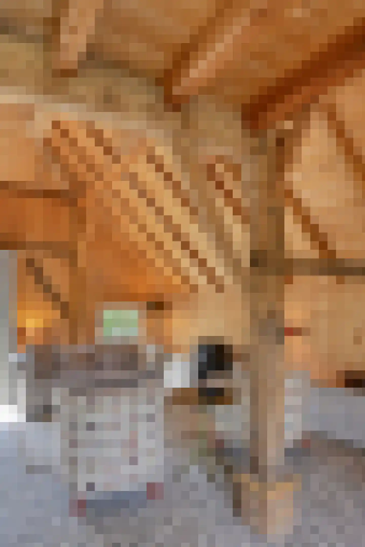 Binnenweg 32 Ellecom thumbnail 54