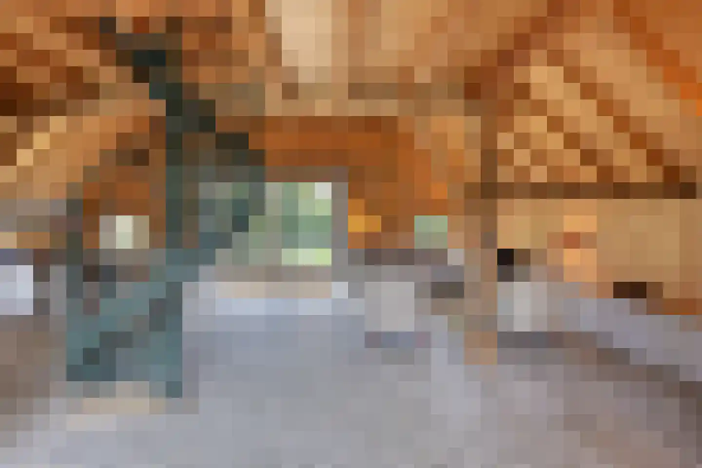 Binnenweg 32 Ellecom thumbnail 55